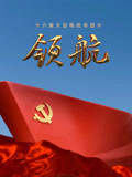 领航