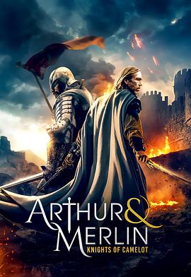 亚瑟与梅林：圣杯骑士 Arthur &amp;amp;amp;amp; Merlin: Knights of Camelot