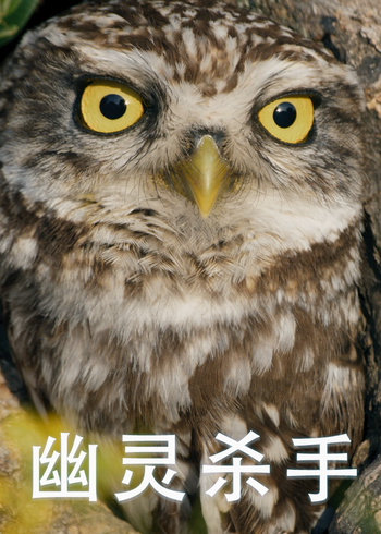 幽灵杀手