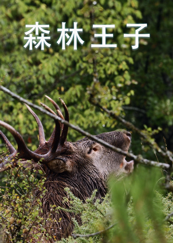 森林王子